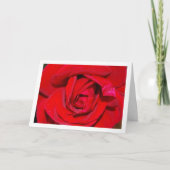 Red Rose Close-up Portrait Karte (Vorderseite)