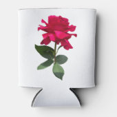 Red Rose Dosenkühler (Vorderseite)