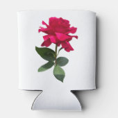 Red Rose Dosenkühler (Rückseite)