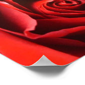Red Rose Elegance Poster (Ecke)