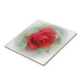 Red Rose Fliese (Seite)
