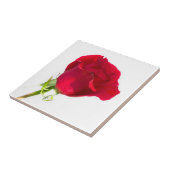 Red Rose Fliese (Seite)