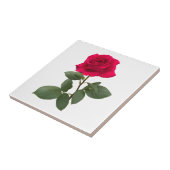 Red Rose Fliese (Seite)