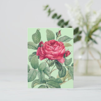 Red Rose Flowers with Green Leaves THANK YOU Postkarte