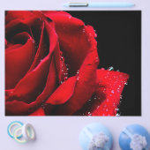 Red Rose Flyer (Einzeln)