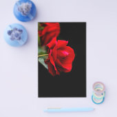 Red Rose Flyer (Einzeln)