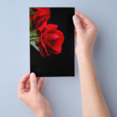 Red Rose Flyer (Handgriff)