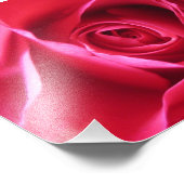Red Rose Fotodruck (Ecke)
