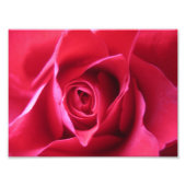 Red Rose Fotodruck (Vorne)
