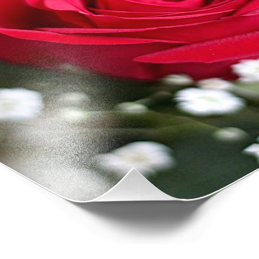 Red Rose Fotodruck (Ecke)
