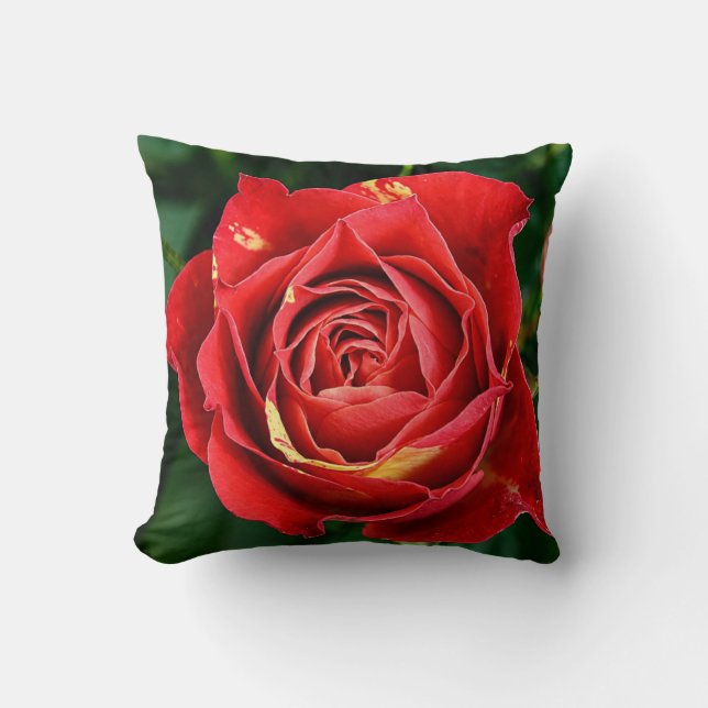 Red Rose Fotografie  Kissen (Vorderseite)
