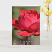 Red Rose Garden Love (my photography) Karte (Gelbe Blume)