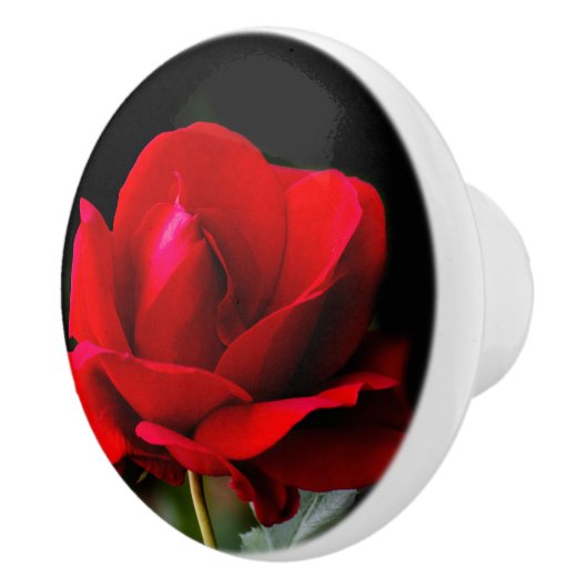 Red Rose Keramikknauf (Rechts)