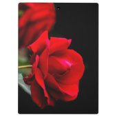 Red Rose Klemmbrett (Rückseite)
