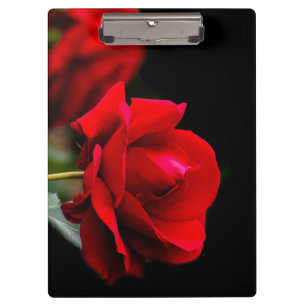Red Rose Klemmbrett