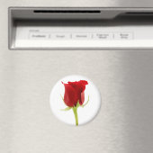 Red Rose Magnet (In Situ (Geschirrspüler))