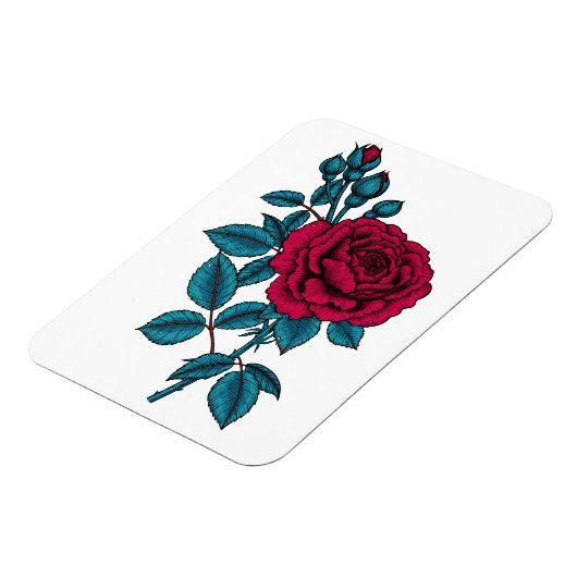 Red Rose Magnet (Linke Seite)