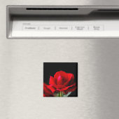 Red Rose Magnet (In Situ (Geschirrspüler))