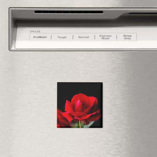 Red Rose Magnet (In Situ (Geschirrspüler))