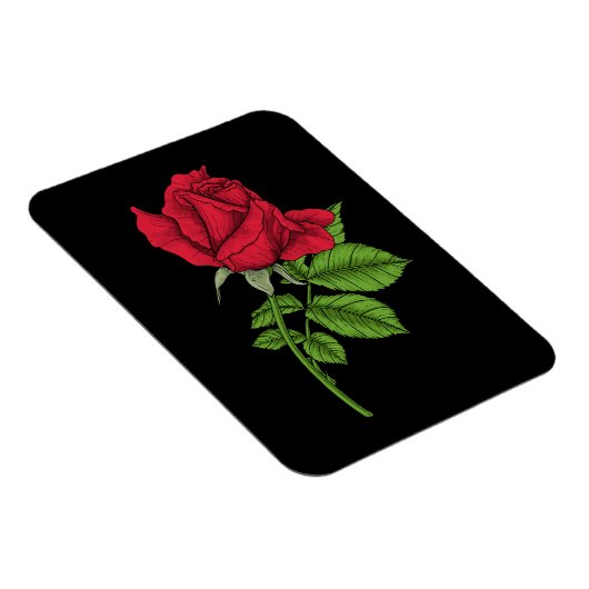 Red Rose Magnet (Rechte Seite)