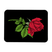 Red Rose Magnet (Horizontal)