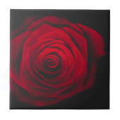Red rose on black background vintage effect fliese (Vorderseite)