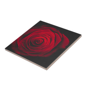Red rose on black background vintage effect fliese
