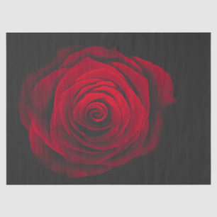 Red rose on black background vintage effect seidenpapier