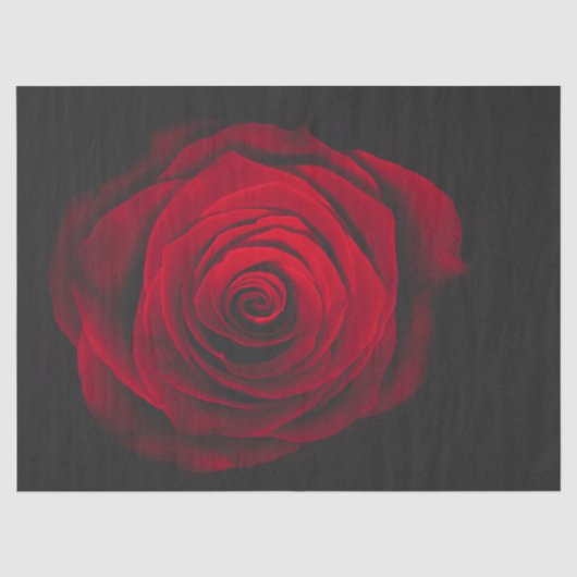 Red rose on black background vintage effect seidenpapier (Vorderseite)