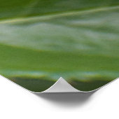 Red Rose Poster (Ecke)