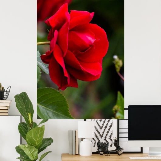 Red Rose Poster (Heimbüro)