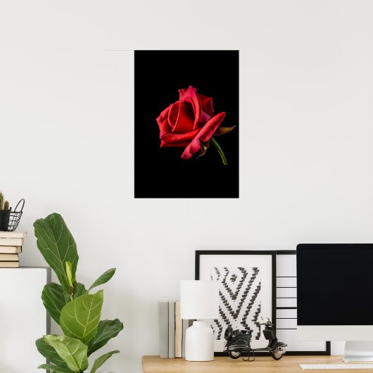 red rose  poster (Heimbüro)