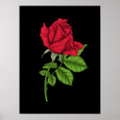 Red Rose Poster (Vorne)