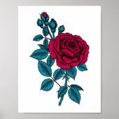 Red Rose Poster (Vorne)