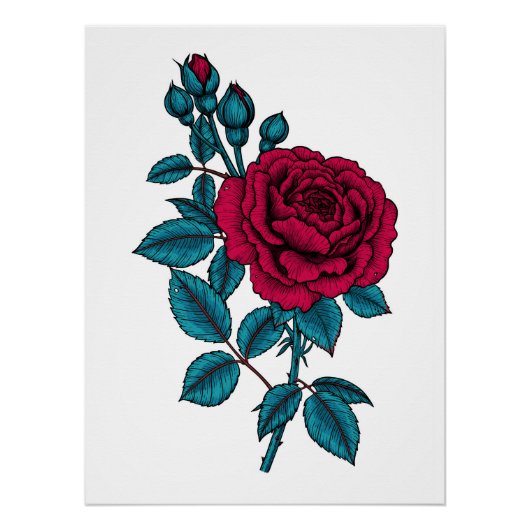 Red Rose Poster (Vorderseite)