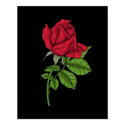 Red Rose Poster (Vorderseite)