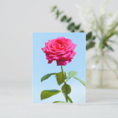 Red Rose Postkarte (Stehend Vorderseite)