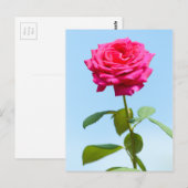 Red Rose Postkarte (Vorne/Hinten)