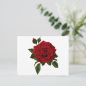 Red Rose Postkarte (Stehend Vorderseite)