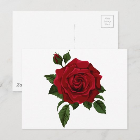 Red Rose Postkarte (Vorne/Hinten)