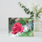 Red Rose Postkarte (Stehend Vorderseite)