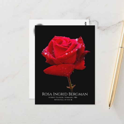 Red Rose Postkarte (Vorderseite/Rückseite Beispiel)
