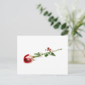 Red Rose Postkarte (Stehend Vorderseite)