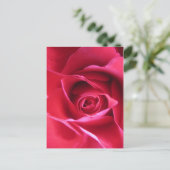 Red Rose Postkarte (Stehend Vorderseite)
