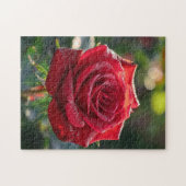 Red Rose Puzzle (Horizontal)