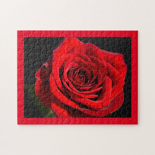 Red Rose Puzzle (Horizontal)