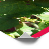 Red Rose Roses Flower Floral Garden Eugene Furst Poster (Ecke)