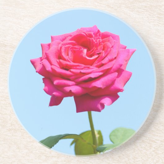 Red Rose Sandstein Untersetzer (Vorne)