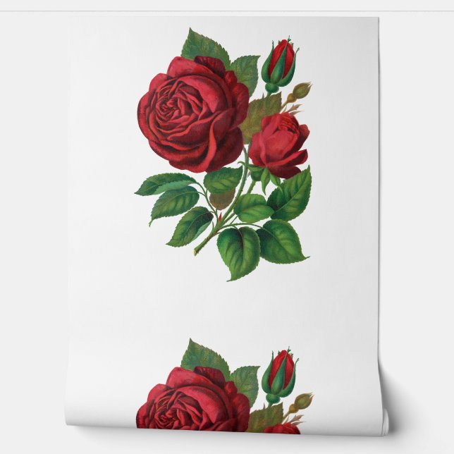 Red Rose Tapete (Abrollen)