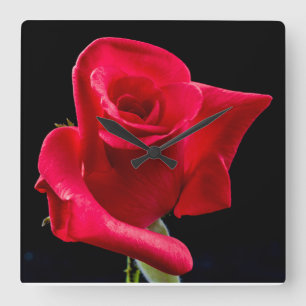 RED ROSE Wall Clock Quadratische Wanduhr